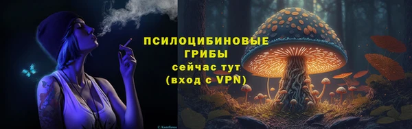 винт Арсеньев