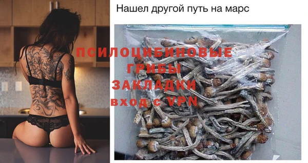 винт Арсеньев