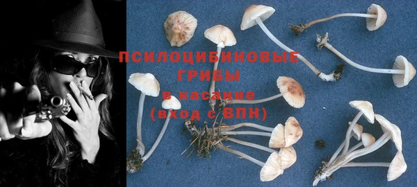 винт Арсеньев