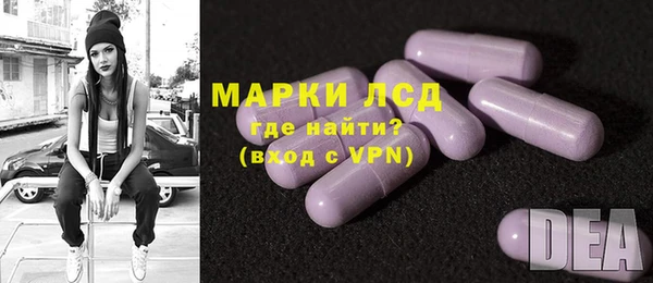 сатива Армянск