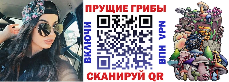 гидра ссылки  Красный Холм  Галлюциногенные грибы Psilocybine cubensis 
